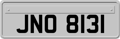 JNO8131