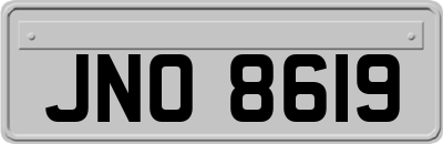 JNO8619