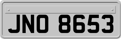 JNO8653
