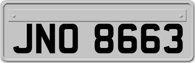 JNO8663