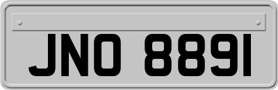 JNO8891