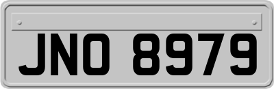 JNO8979