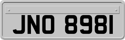 JNO8981