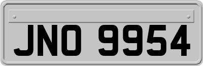 JNO9954