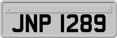 JNP1289
