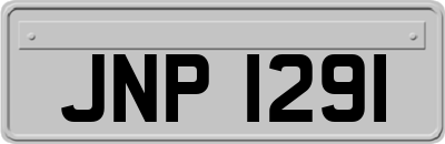JNP1291