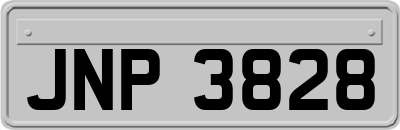 JNP3828