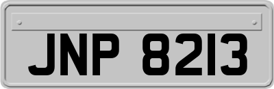 JNP8213