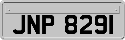 JNP8291