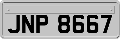 JNP8667