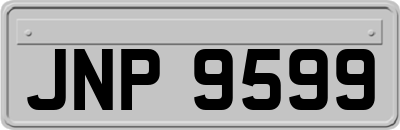 JNP9599