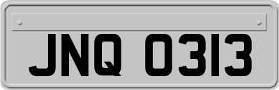 JNQ0313