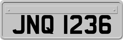 JNQ1236