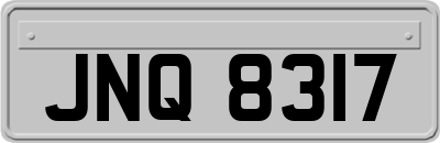 JNQ8317