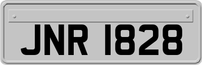 JNR1828