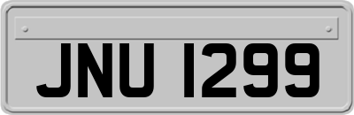 JNU1299