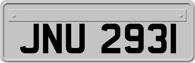 JNU2931