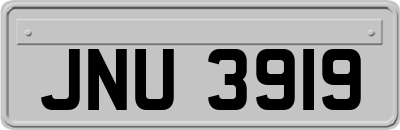 JNU3919