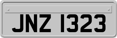 JNZ1323