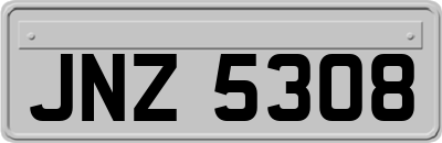 JNZ5308