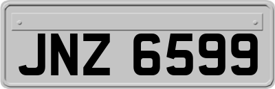 JNZ6599