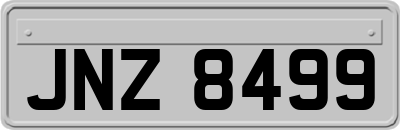 JNZ8499