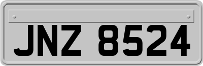 JNZ8524