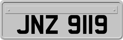 JNZ9119