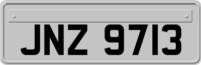 JNZ9713