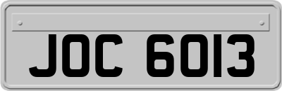 JOC6013