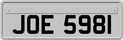 JOE5981