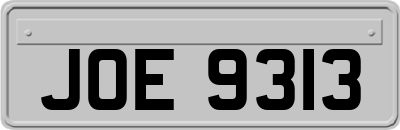 JOE9313