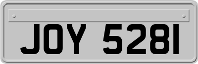 JOY5281