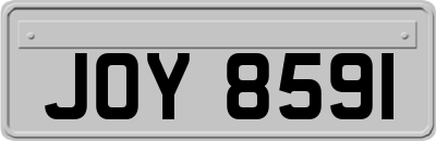 JOY8591