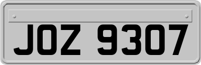 JOZ9307