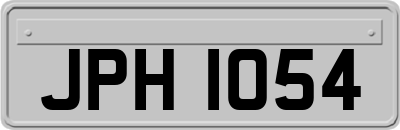JPH1054