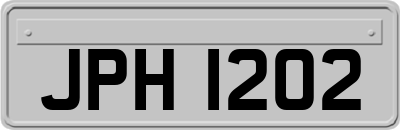 JPH1202