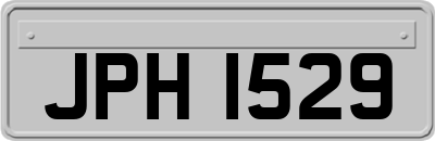 JPH1529