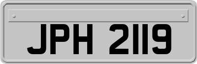 JPH2119