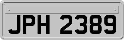 JPH2389