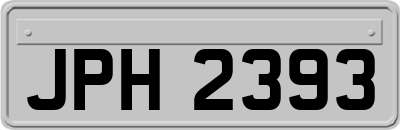 JPH2393