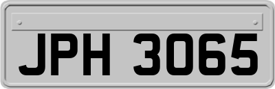 JPH3065