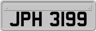 JPH3199