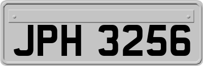JPH3256