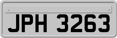 JPH3263