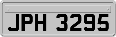 JPH3295