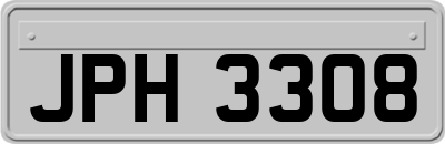 JPH3308