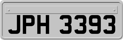 JPH3393