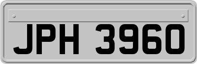 JPH3960