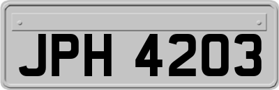 JPH4203
